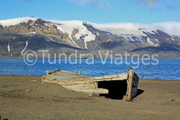 Viatges Antàrtida: Illes Shetland del Sud