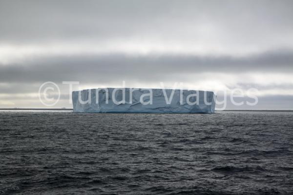 Viatges Antàrtida: icebergs