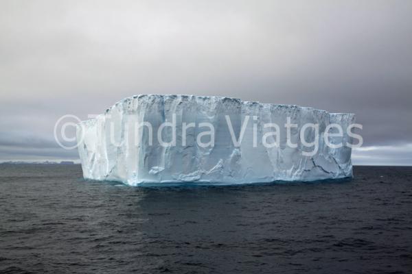 Viajes Antártida: icebergs