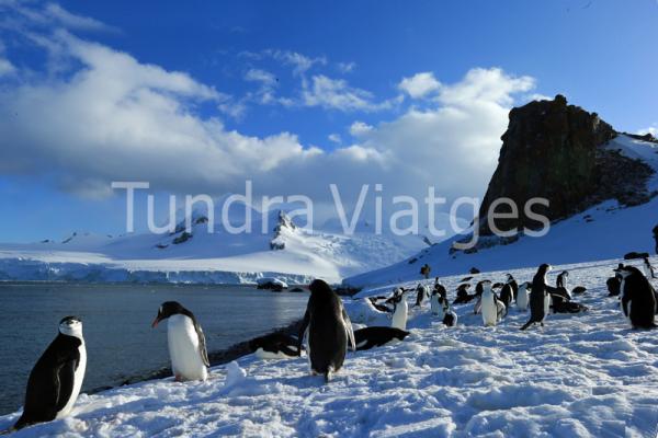 Viatges Antàrtida: Mar de Weddell
