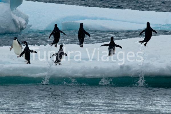 Viajes Antártida: Mar de Weddell