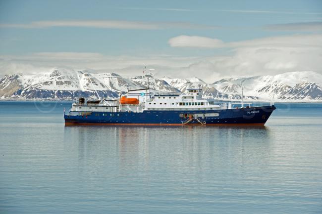 Viajes a la Antártida, barcos de navegación polar