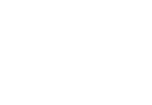 Tundra Viatges