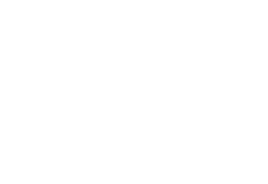 Tundra Viajes