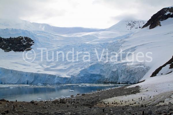 Viajes Península Antártica