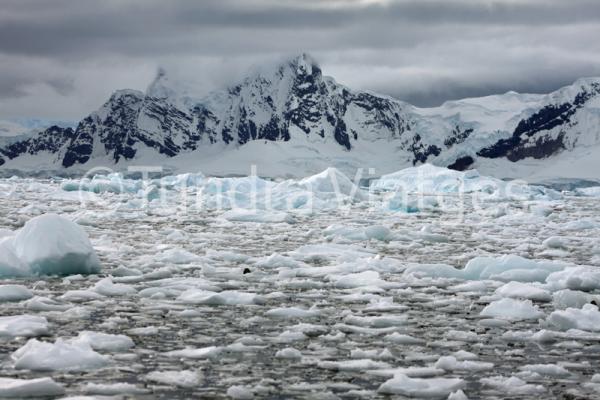 Viajes Península Antártica