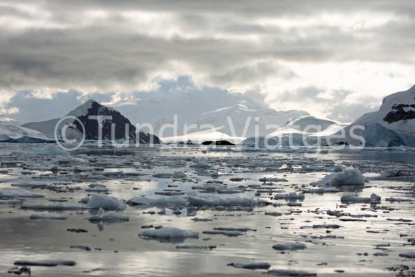 Viatges Península Antàrtica