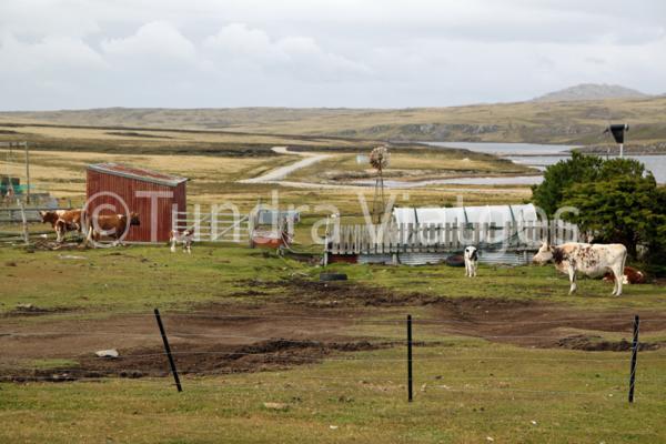 Granja de las Malvinas