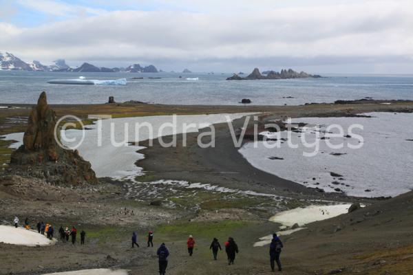 Viajes Antártida: Islas Shetland del Sur