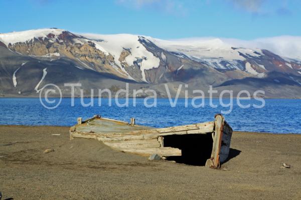 Viajes Antártida: Islas Shetland del Sur