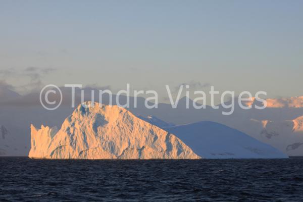 Viajes Antártida: icebergs