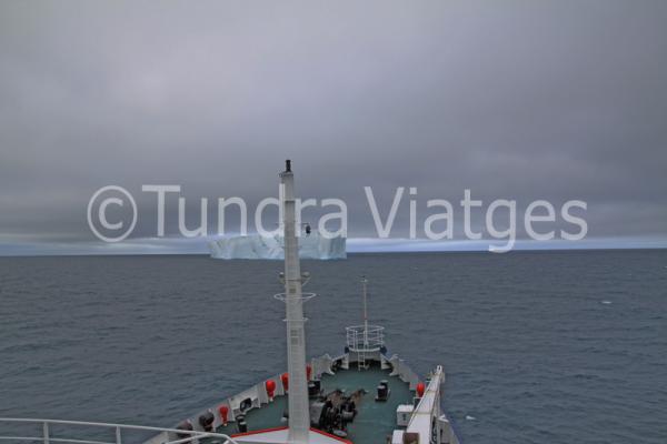 Viajes Antártida: icebergs