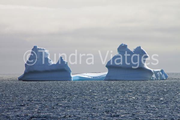 Viatges Antàrtida: icebergs