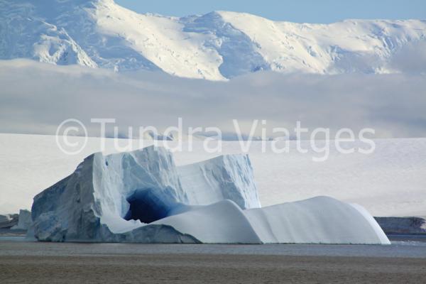 Viajes Antártida: icebergs