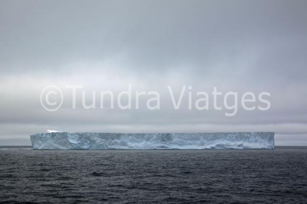 Viajes Antártida: icebergs