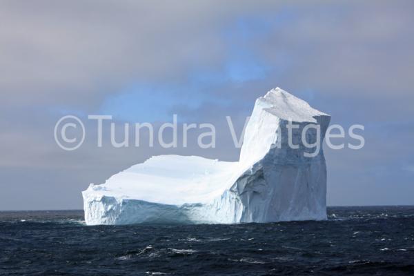 Viatges Antàrtida: icebergs