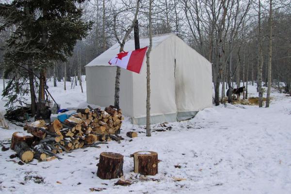 Viajes Canadá: trineos de perros en Yukon