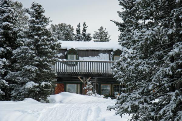 Viajes Canadá: trineos de perros en Yukon