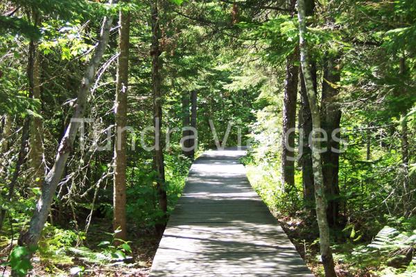 Viajes Canadá: Canadá Atlántico