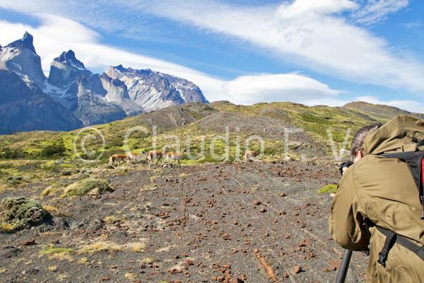 Patagonia Chilena