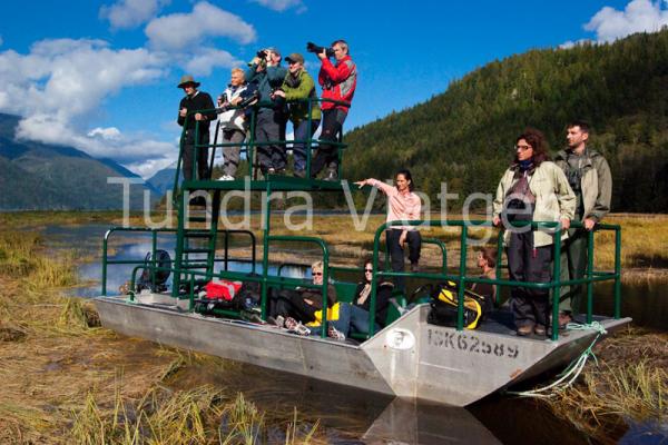 Viajes Canadá: osos