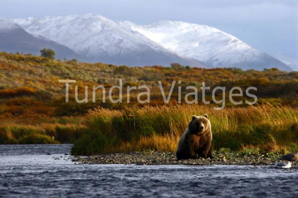 Viajes a Alaska