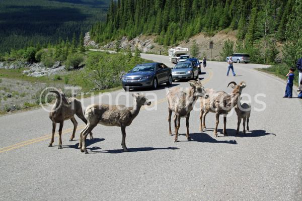 Viajes Montañas Rocosas de Canadá