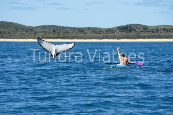 Viatges a Austràlia