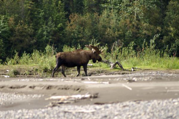 Viajes a Alaska