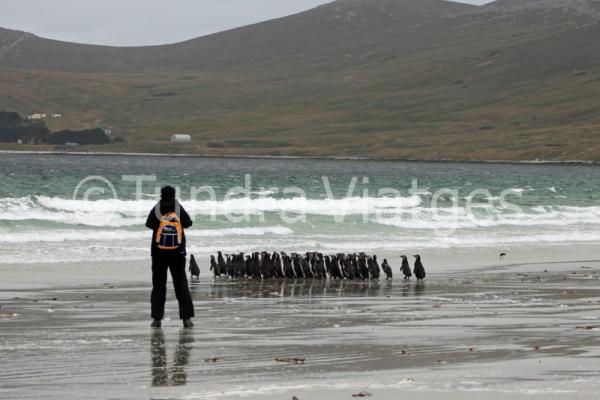 Viajes a las Islas Malvinas