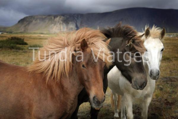 Viajes a Islandia