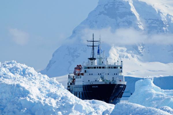 Barco Ortelius - ice class