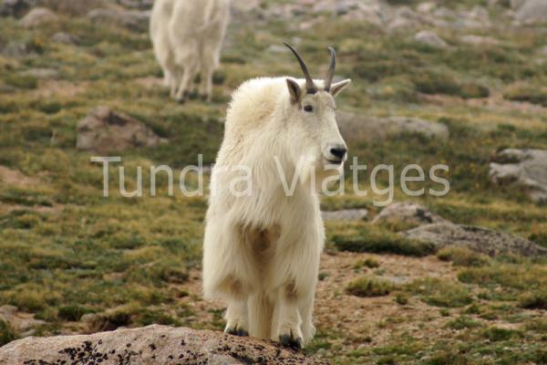 Parque Nacional Banff