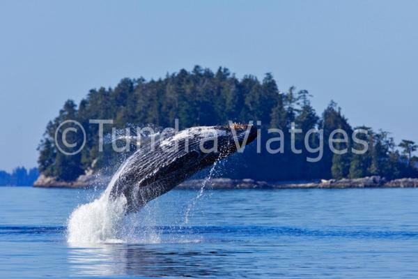 Isla de Vancouver