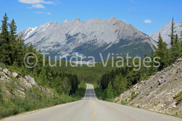 Muntanyes Rocalloses del Canadà