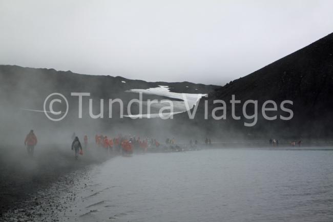 Cruceros Antártida e Islas Shetland del Sur