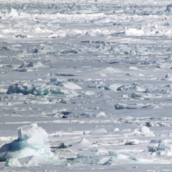 Viajes a Spitsbergen - Islas Svalbard - mar de hielo