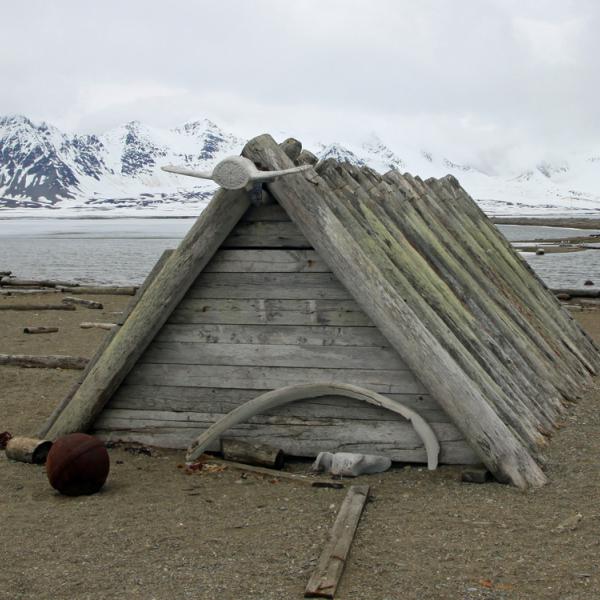 Viajes a Svalbard - Spitsbergen costa norte