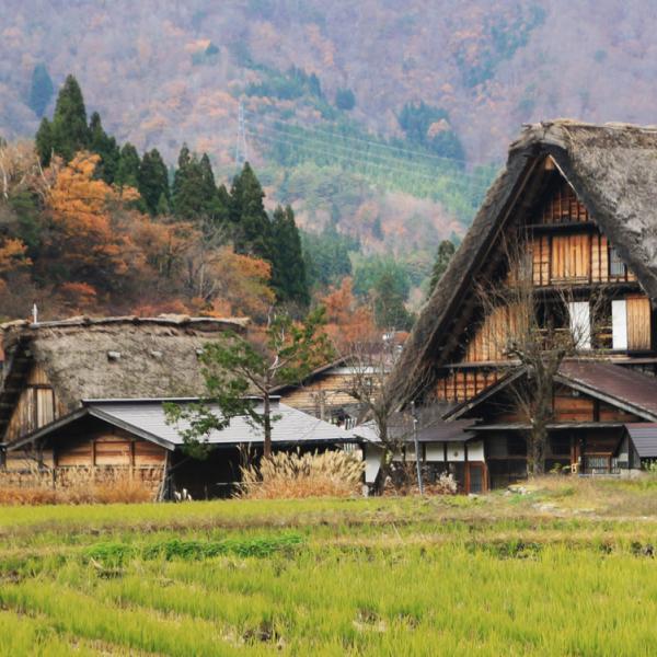 Viaje Alpes Japoneses