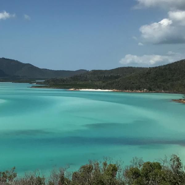 Austràlia - Queensland - Airlie Beach - Gran Barrera de Coral - Illes Whintshundays - platja