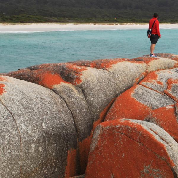 Austràlia - Tasmània - Bay of Fires - platja