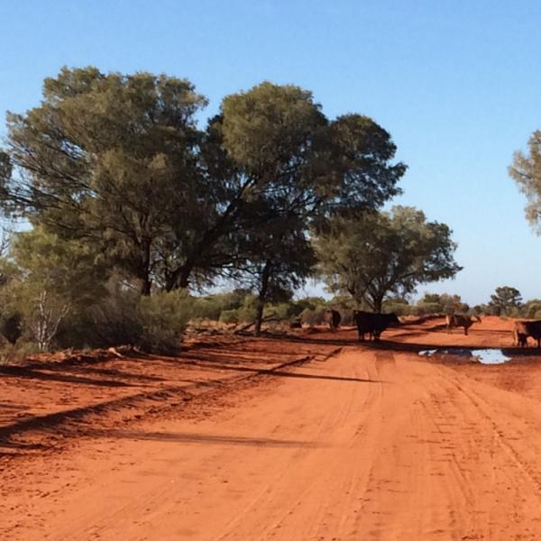 Australia - Outback - carretera