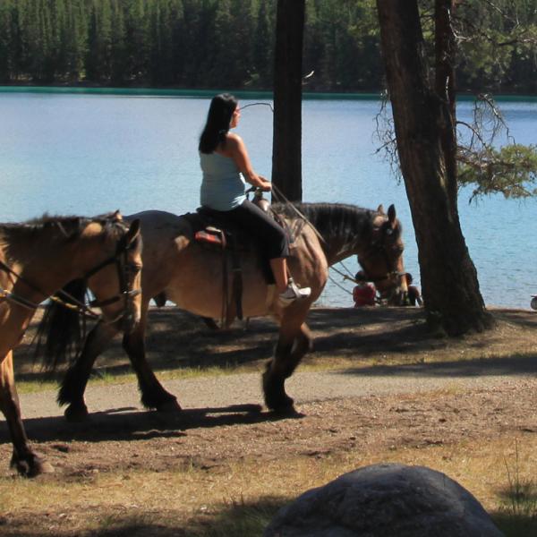 Excursiones a caballo