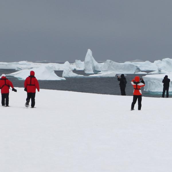 Viajes-Peninsula-Antarctica