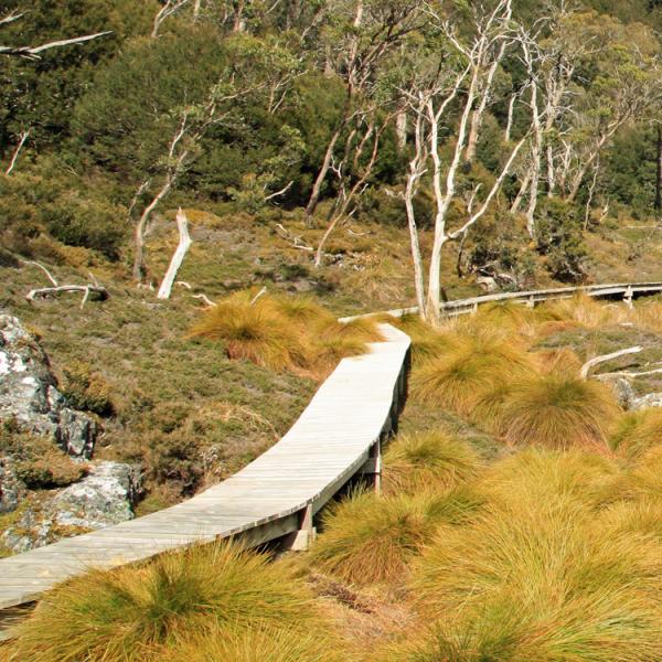 Australia - Tasmania - Cradle Mountain - montaña