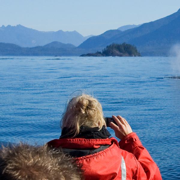 Ballenas en Canadá