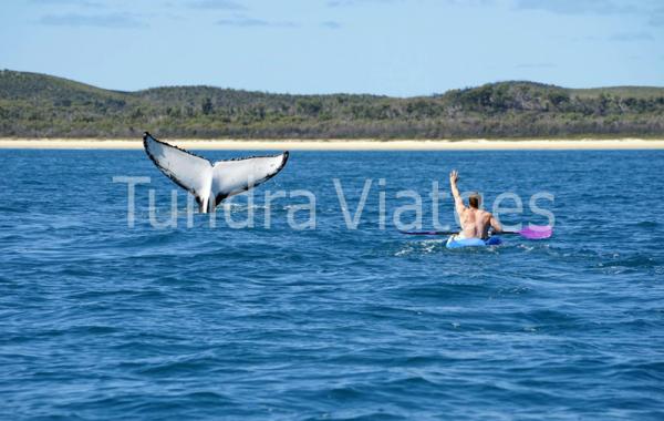 Viatges a Austràlia