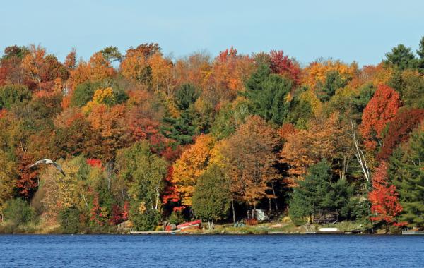 Viatges a Ontàrio - Canadà